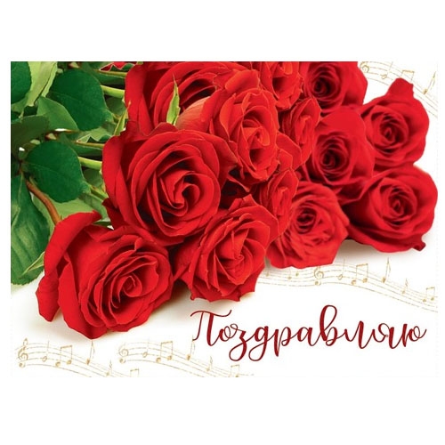 Открытка-комплимент «Поздравляю» Красные розы, 8 х 6 см
