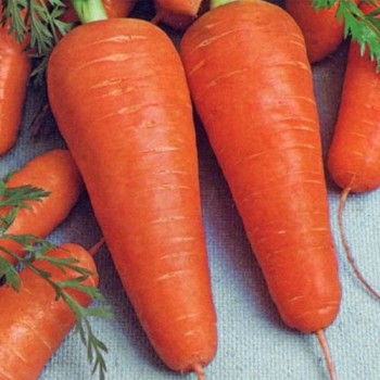 семена морковь Курода шантанэ б/п 2гр/Аэлита/10000x20 К
