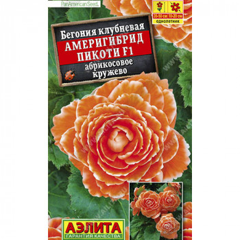 Семена Бегония Америгибрид Пикоти абрикосовое кружево F1, 5 шт